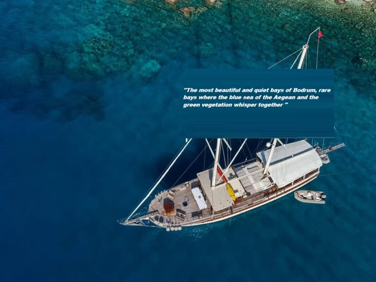 Alquiler Neumática Gulet con o sin  título de navegación