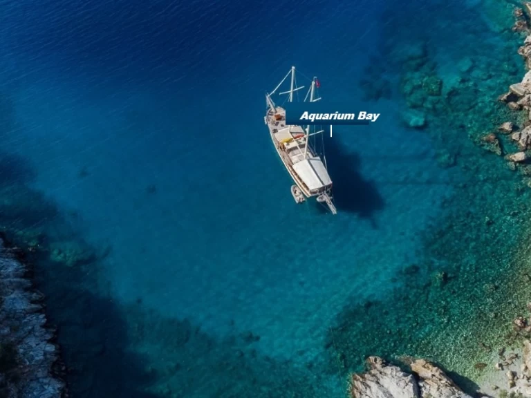 Neumática para alquilar Budrum Bay al mejor precio