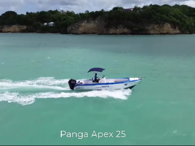 Alquiler de barcos Le Gosier barato de APEX PANGA 25
