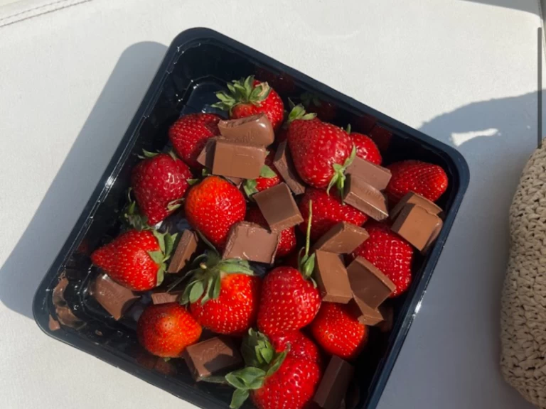 Alquiler Lancha Marinello con o sin  título de navegación