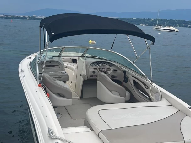 Alquiler Ginebra (City) - Sea Ray 202 en SamBoat