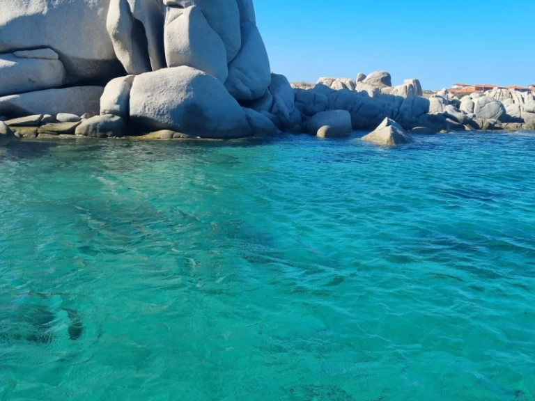Alquiler de Neumática, con o sin patrón Capelli Porticcio