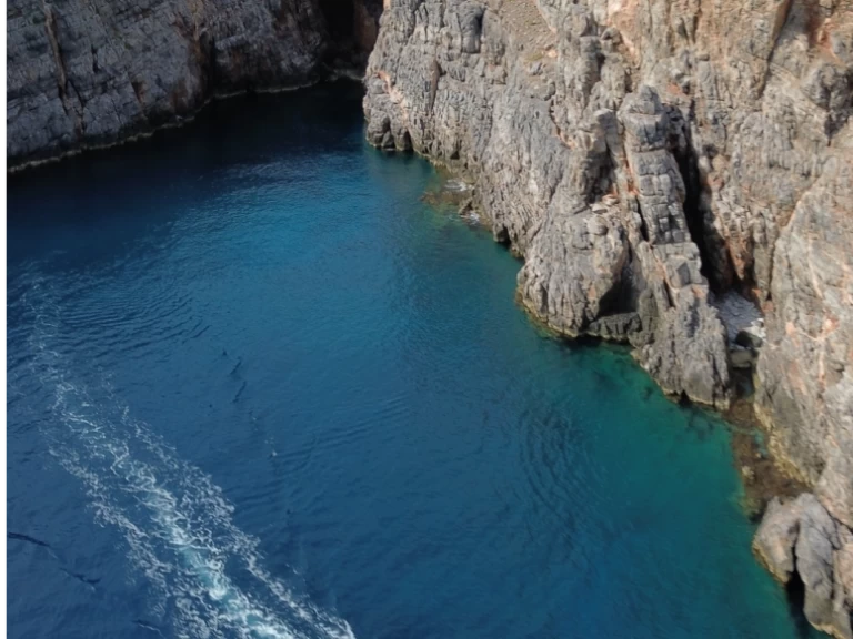 Alquiler Lancha Poseidon con o sin  título de navegación