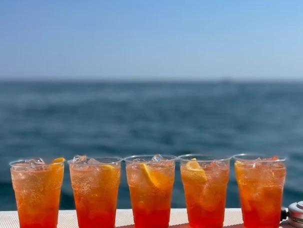 Alquiler de Neumática, con o sin patrón Perondi Porto Cesareo (Puerto)