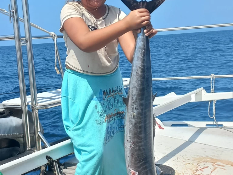 Alquiler Catamarán Wharram con o sin  título de navegación