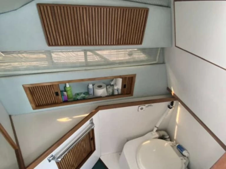 Alquiler de Lancha, con o sin patrón Sea Ray Zadar