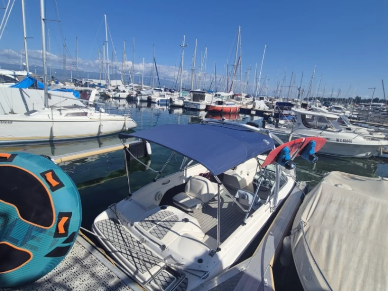 Alquiler Lancha Bayliner con o sin  título de navegación