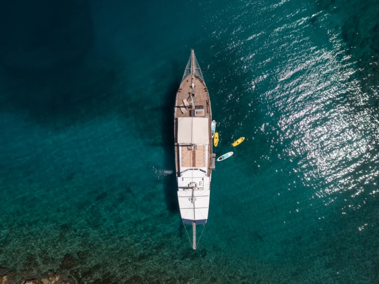 Alquiler Velero Unknown con o sin  título de navegación