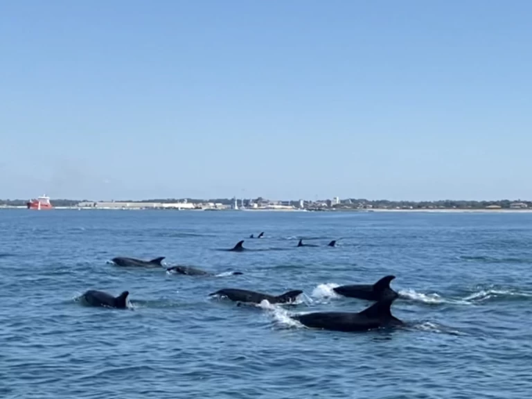 Alquiler de barcos Bayonne barato de Ultra 515 Open