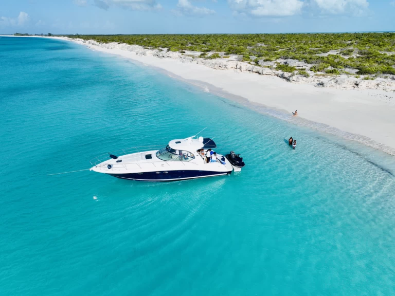 Alquiler de Sea Ray SUNDANCER 420 en Turks Islands