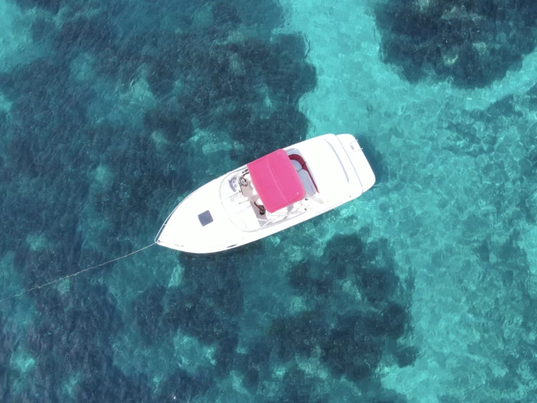 Alquiler Vieux Port de Cannes - Rinker Captiva 232 Cudy en SamBoat