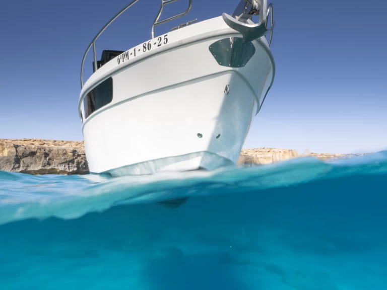 Alquiler Lancha Saver con o sin  título de navegación