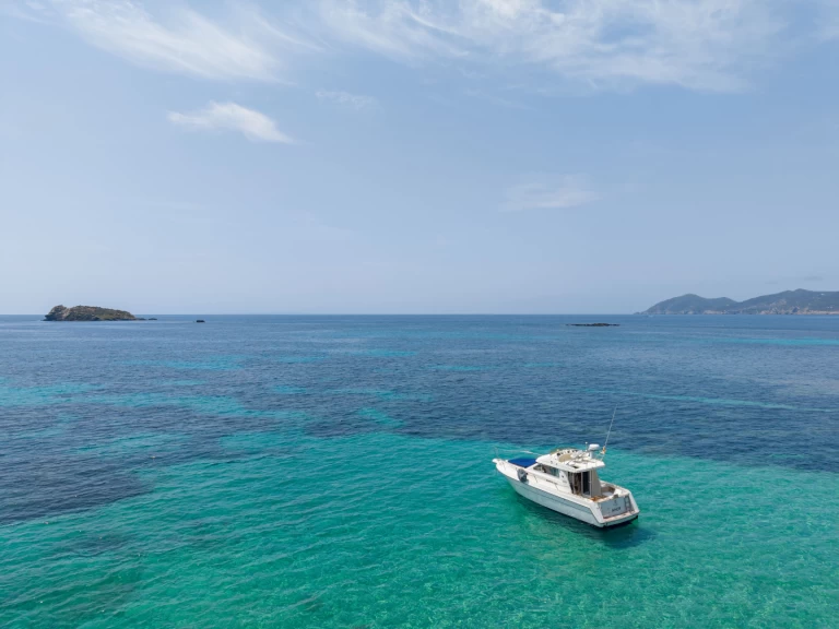 Alquiler de Rodman Rodman 900 en Santa Eulària des Riu