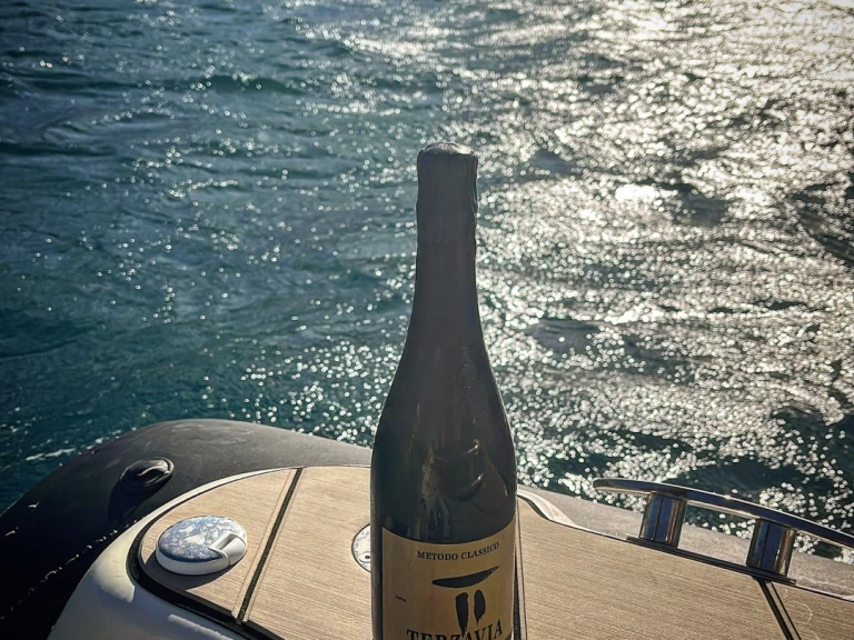 Alquiler Neumática Bsc con o sin  título de navegación