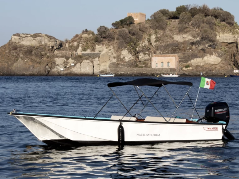 Alquiler Aci Trezza - Boston Whaler Boston Whaler 17 en SamBoat