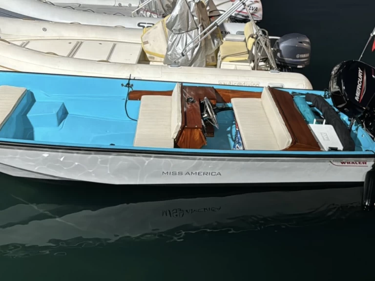 Alquiler de Boston Whaler Boston Whaler 17 en Aci Trezza