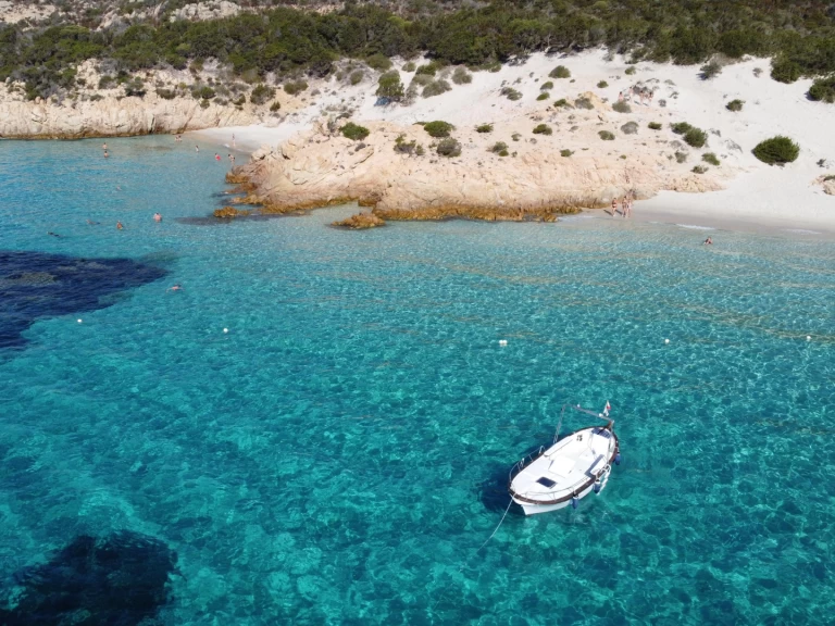 Alquiler Lancha Salpa con o sin  título de navegación