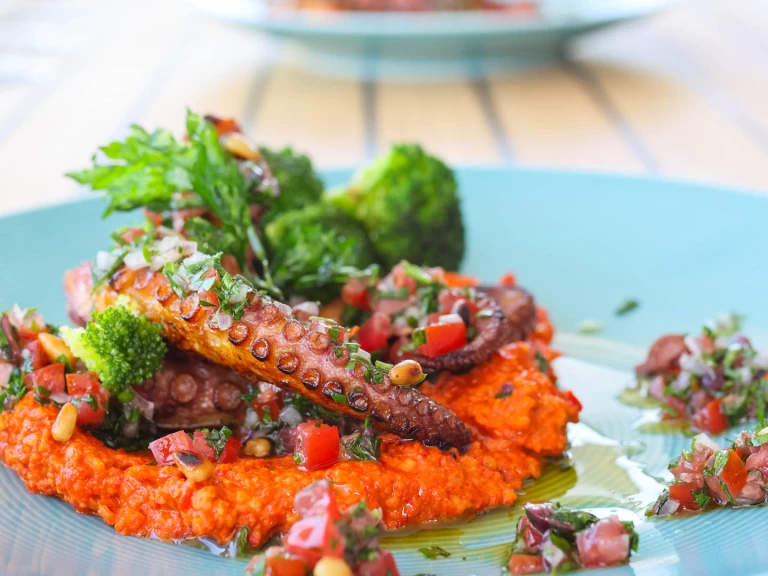 Alquiler Catamarán Sunreef con o sin  título de navegación