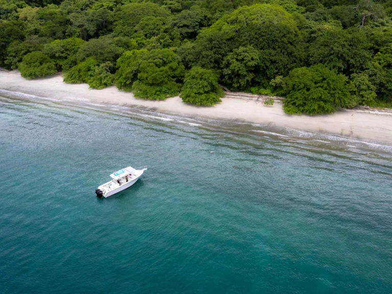 Alquiler Lancha grady-white con o sin  título de navegación