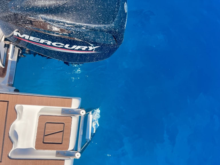 Alquiler Lancha Poseidon con o sin  título de navegación