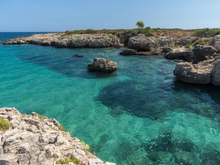 Alquiler Lancha Megamar con o sin  título de navegación