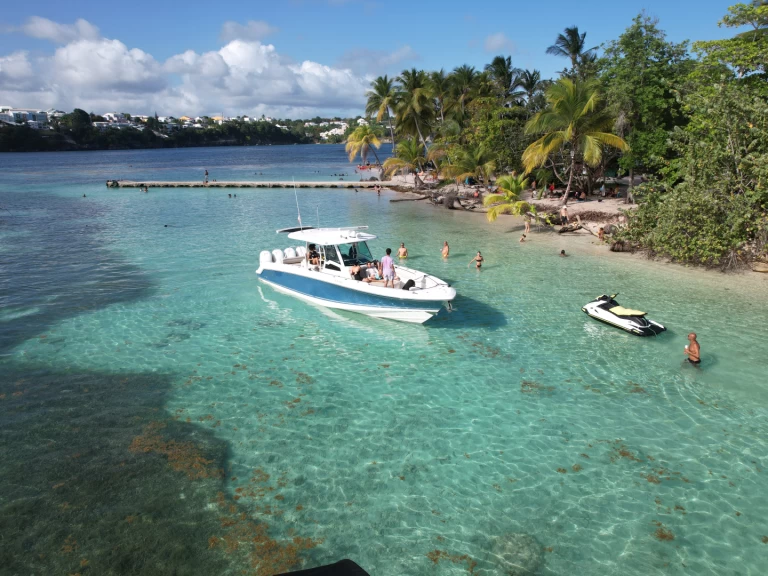 Alquiler Pointe-à-Pitre - Boston Whaler Boston Whaler 380 Outrage en SamBoat
