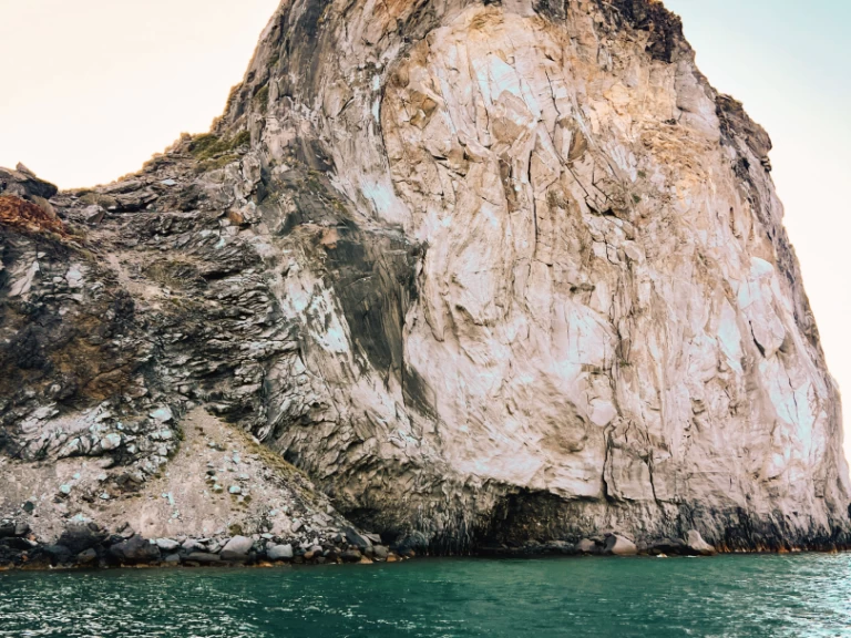 Alquiler Lancha Olympic con o sin  título de navegación
