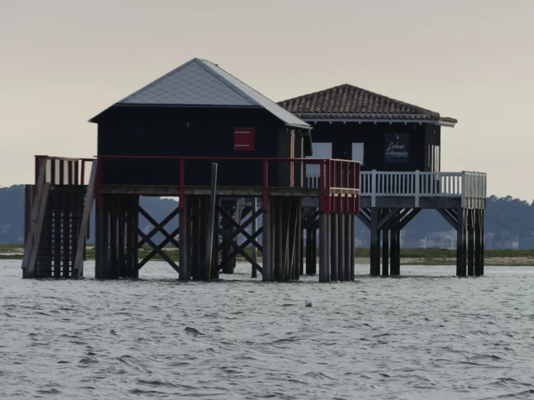 Alquiler Lancha en Arcachon - Bayliner E21