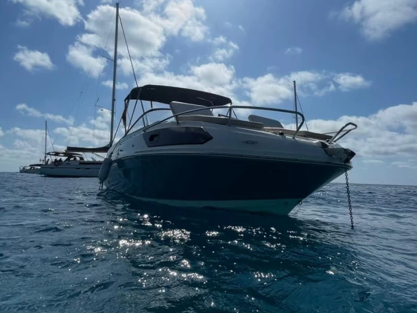Alquiler de Lancha, con o sin patrón Bayliner Palma de Mallorca