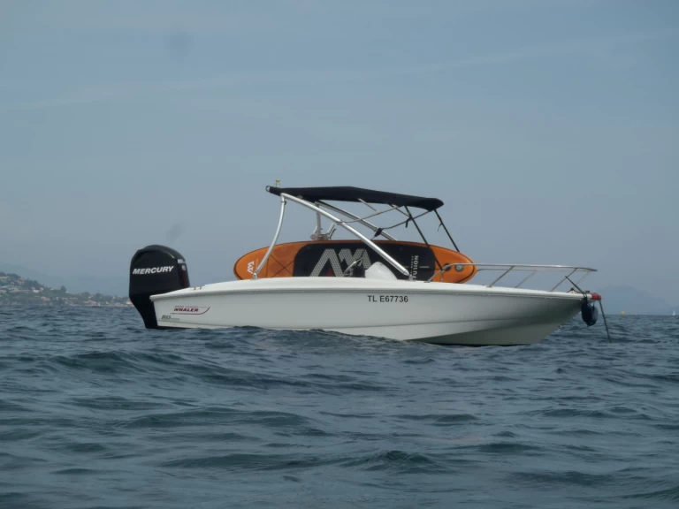 Alquiler Sainte-Maxime - Boston Whaler Boston Whaler 170 super sport en SamBoat