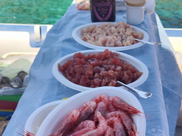 Alquiler Neumática Northstar con o sin  título de navegación