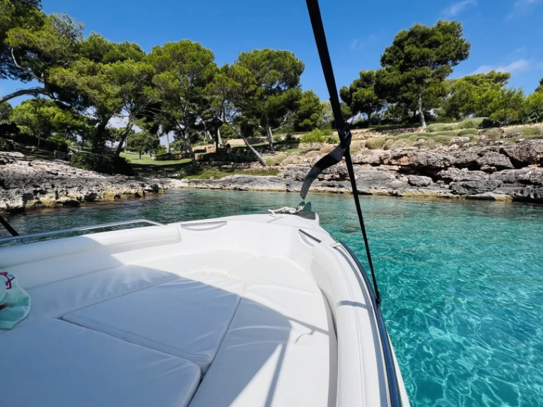 Alquiler Lancha Daganz con o sin  título de navegación