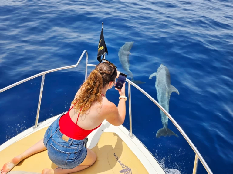 Lancha para alquilar Guía de Isora al mejor precio