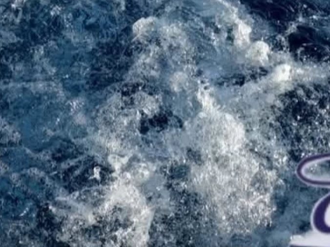 Alquiler Neumática en Cagliari Port - Bwa Bwa 550 Pro