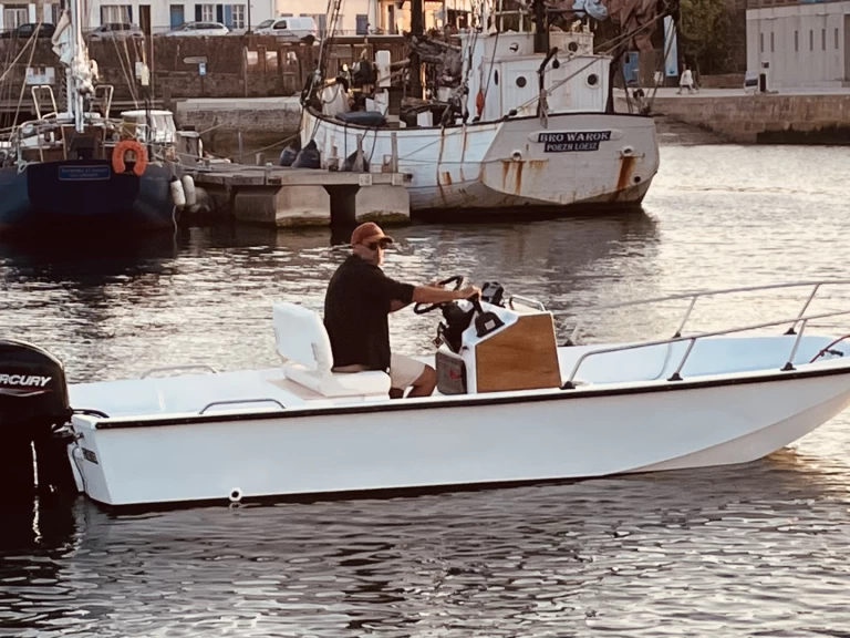 Boston Whaler Boston Whaler 17 de alquiler a Larmor-Plage
