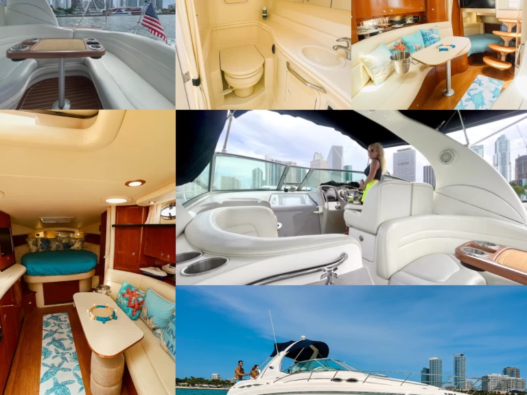 Sea Ray Sundancer 37 de alquiler a Miami