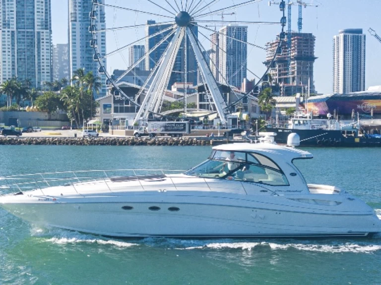 Sea Ray Sea Ray 54 de alquiler a Miami Beach