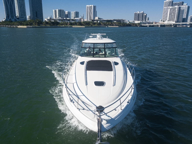 Alquiler de Sea Ray Sea Ray 54 en Miami Beach