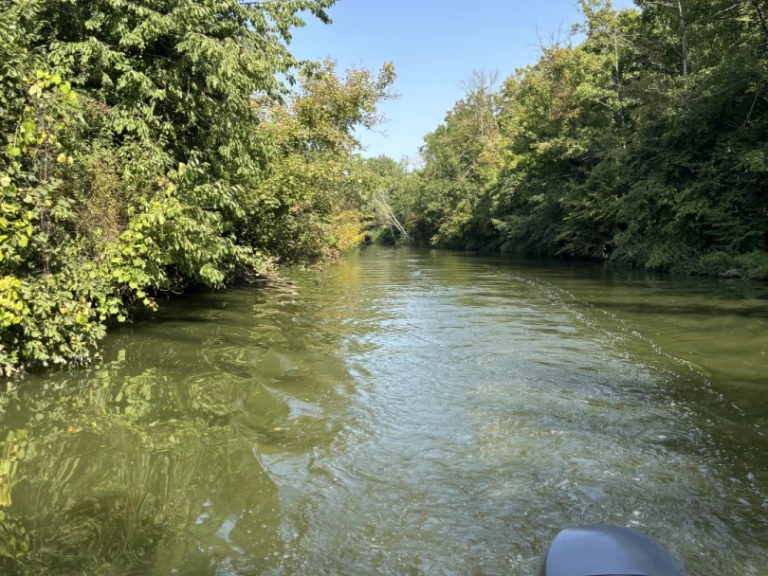 Alquiler Lancha Jeanneau con o sin  título de navegación