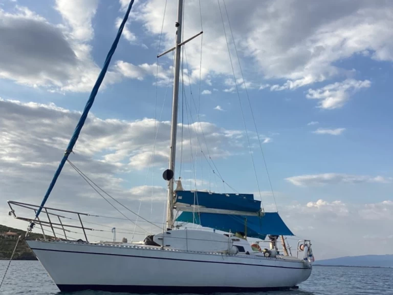 Alquiler de embarcaciones margutte 30 enOristano en Samboat