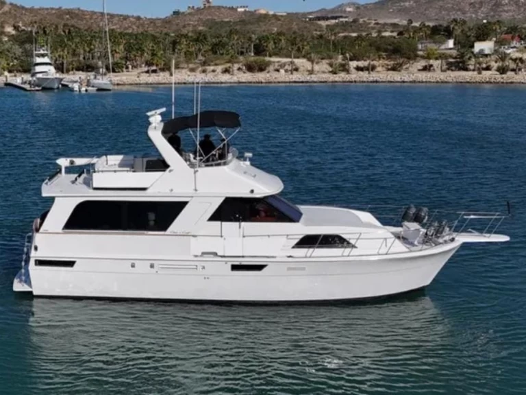 Alquiler de Chris Craft Constellation 55 en San José del Cabo