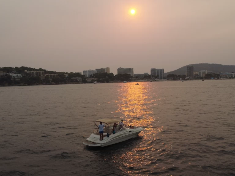 Alquiler de Sea Ray Sea Ray 240 Sundeck en Palma de Mallorca