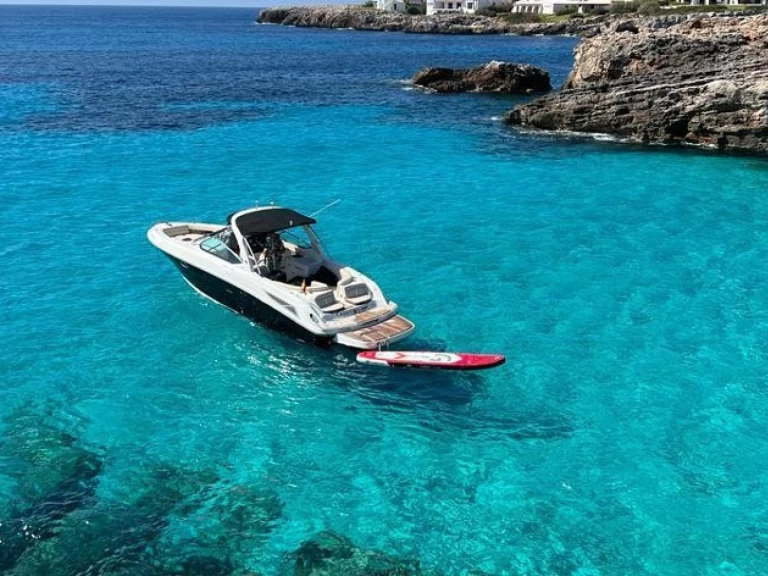 Alquiler Lancha Sea Ray con o sin  título de navegación