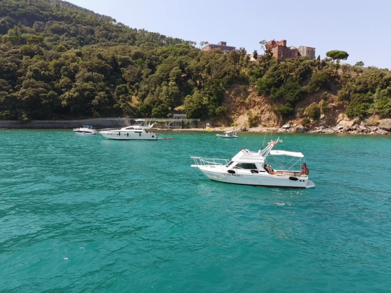 Alquiler Lancha SETTE MARI con o sin  título de navegación