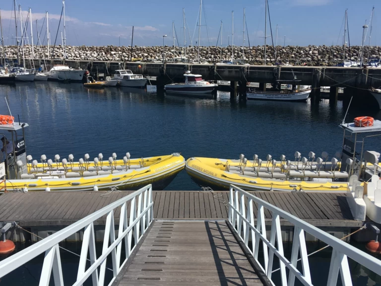 Vanguard TX 860 de alquiler a Sesimbra