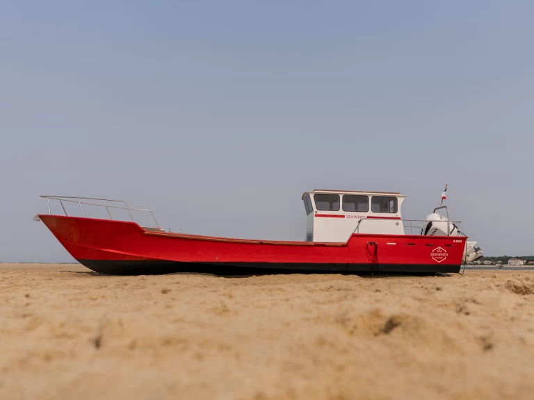 Alquiler Lancha en Bélisaire - Seaweed CHALAND 12m