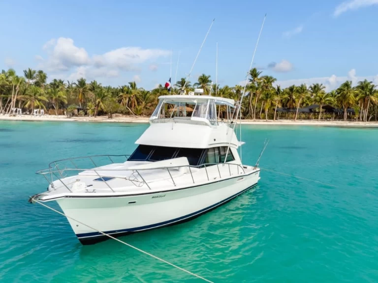 Alquiler de Lancha, con o sin patrón Riviera Bayahíbe (Zona Urbana)