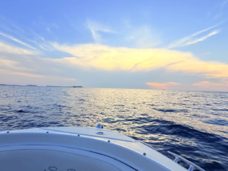 Alquiler de Lancha, con o sin patrón Sea Ray Sant Antoni de Portmany