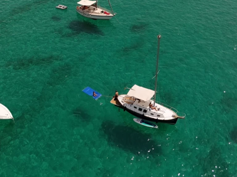 Alquiler Lancha Llaut Myabca con o sin  título de navegación