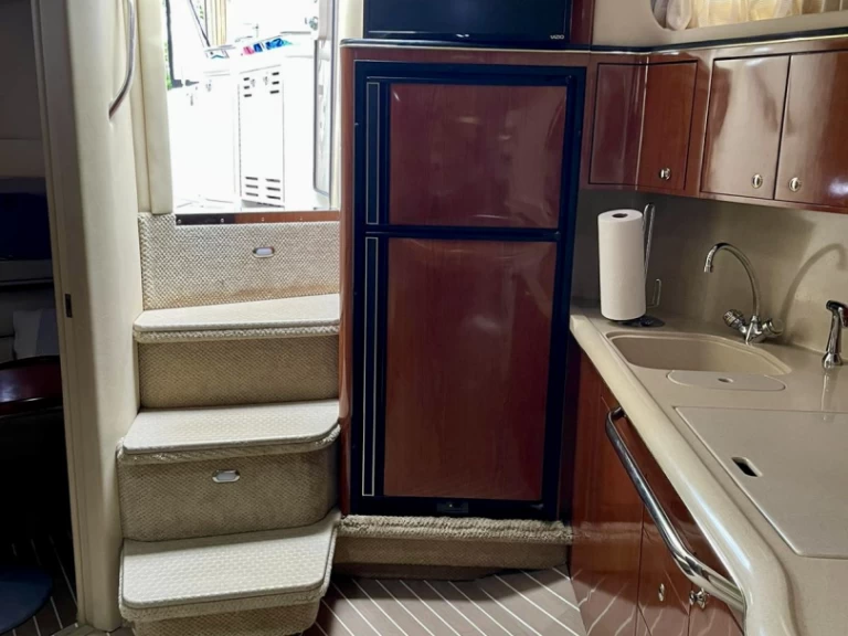 Alquiler de Lancha, con o sin patrón Sea Ray Miami